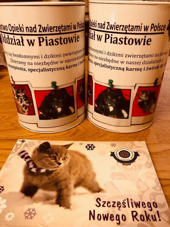 Zbiórka na pomoc dla kotów w Piastowie