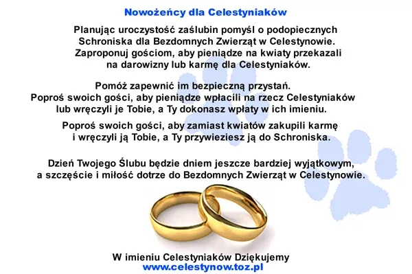 Wsparcie dla schroniska w Celestynowie zamiast kwiatów