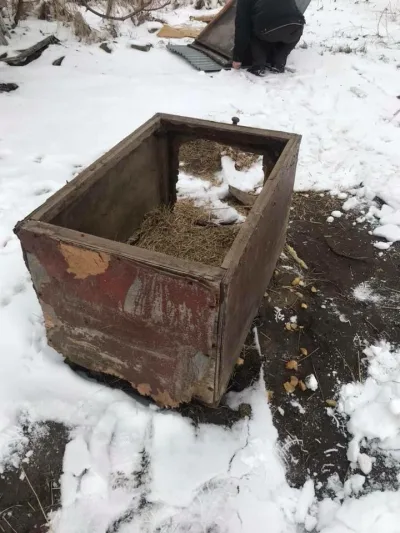 Pomoc dla psa z nową, ciepłą budą