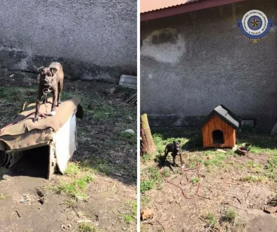 Interwencja TOZ w Tarnowie zakończona sukcesem
