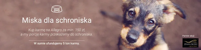 Akcja Miska dla Schroniska z Allegro.pl