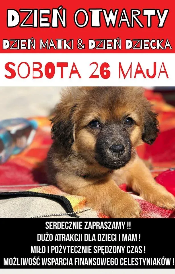 Dzień Otwarty w schronisku z okazji Dnia Matki i Dnia Dziecka