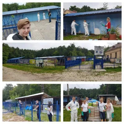Wolontariusze z Nestlé pomogli w schronisku w Celestynowie