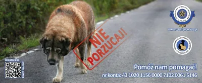 Kampania „Nie porzucaj” w okresie wakacyjnym