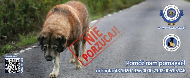 Kampania „Nie porzucaj” w okresie wakacyjnym