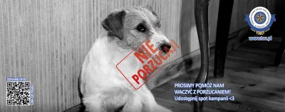 Kampania „Nie porzucaj!” przeciwko porzucaniu zwierząt