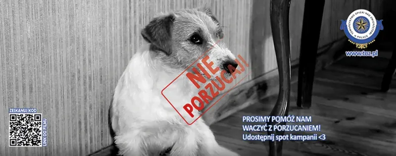 Kampania „Nie porzucaj!” przeciwko porzucaniu zwierząt