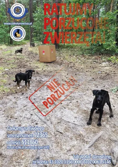 Kampania przeciw porzucaniu zwierząt w wakacje