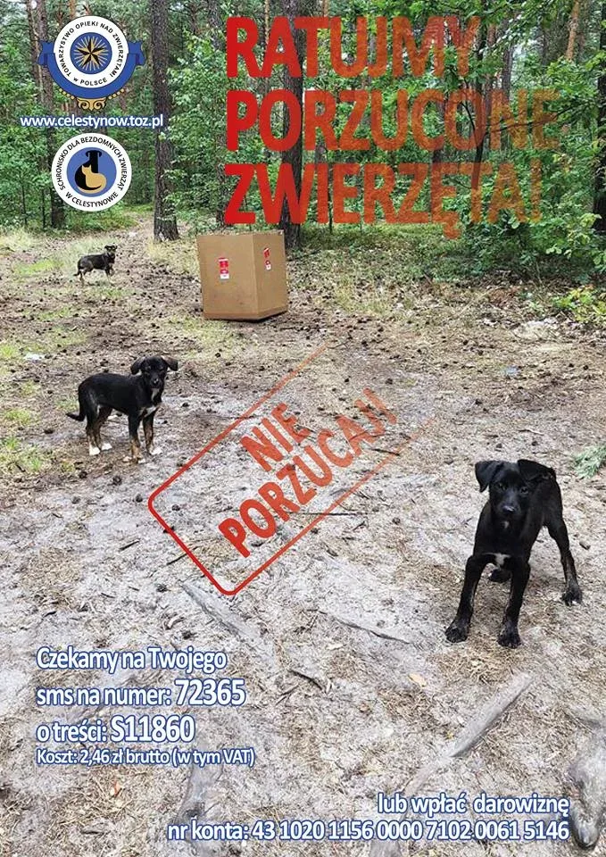 Kampania przeciw porzucaniu zwierząt w wakacje