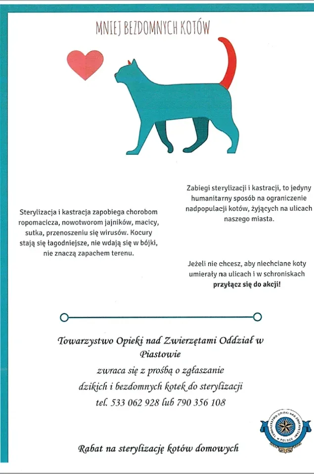 Apel o sterylizację wolno żyjących kotek w Piastowie