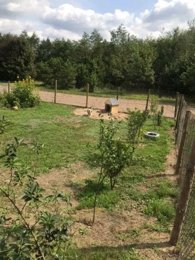 Interwencja TOZ Tarnów w sprawie zwierząt w upale