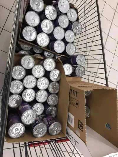 Wsparcie dla karmicieli kotów w Tarnowie