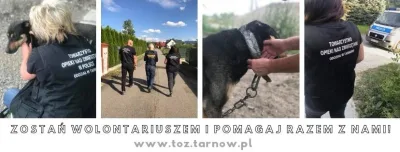 Nabór wolontariuszy do TOZ