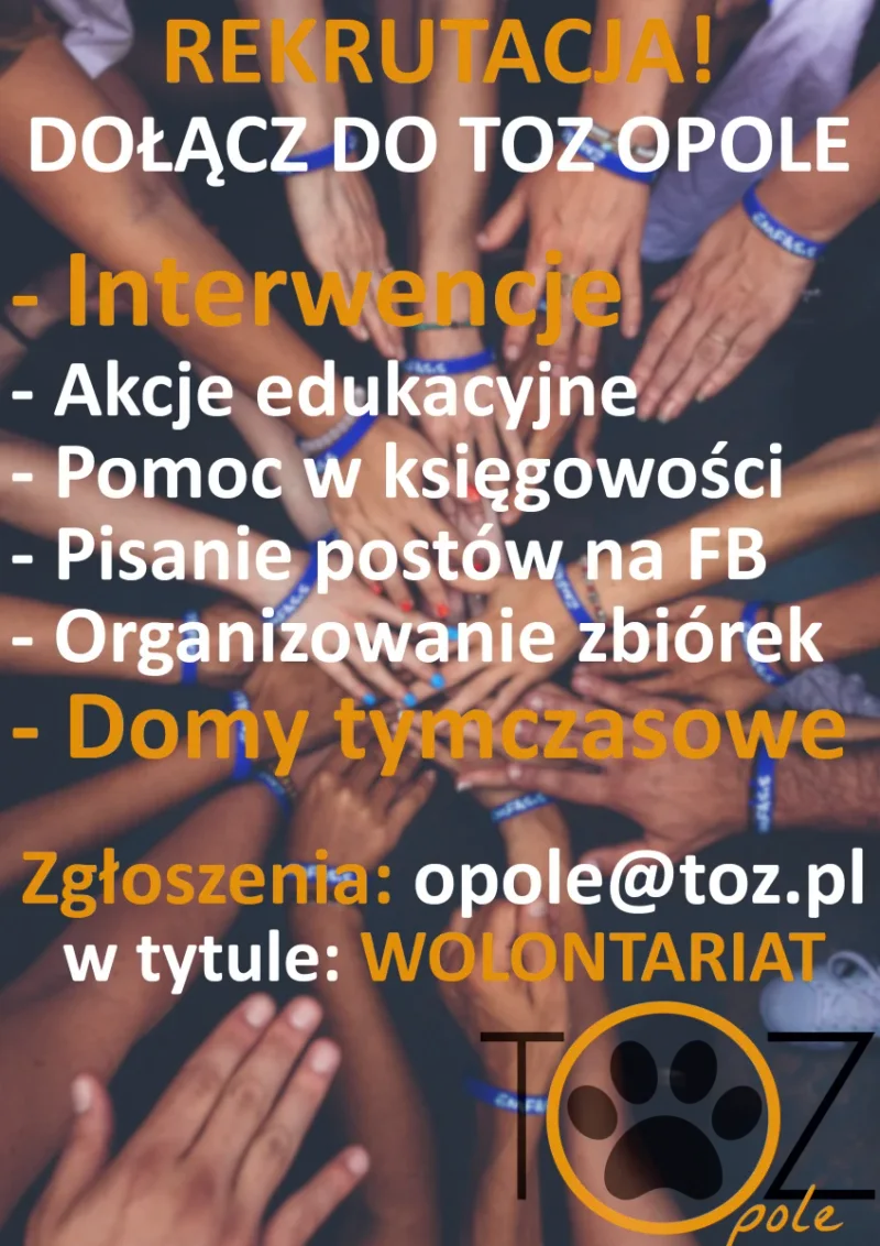 Rekrutacja wolontariuszy w TOZ Opole