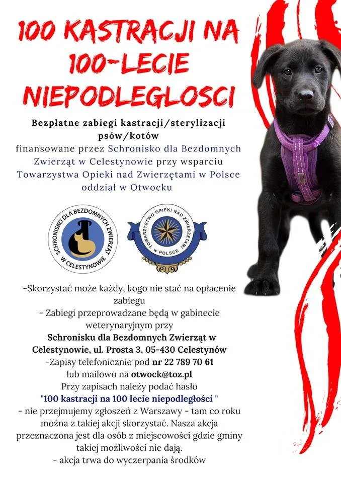 Akcja bezpłatnych kastracji z okazji 100-lecia niepodległości