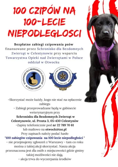Akcja bezpłatnego czipowania w Otwocku