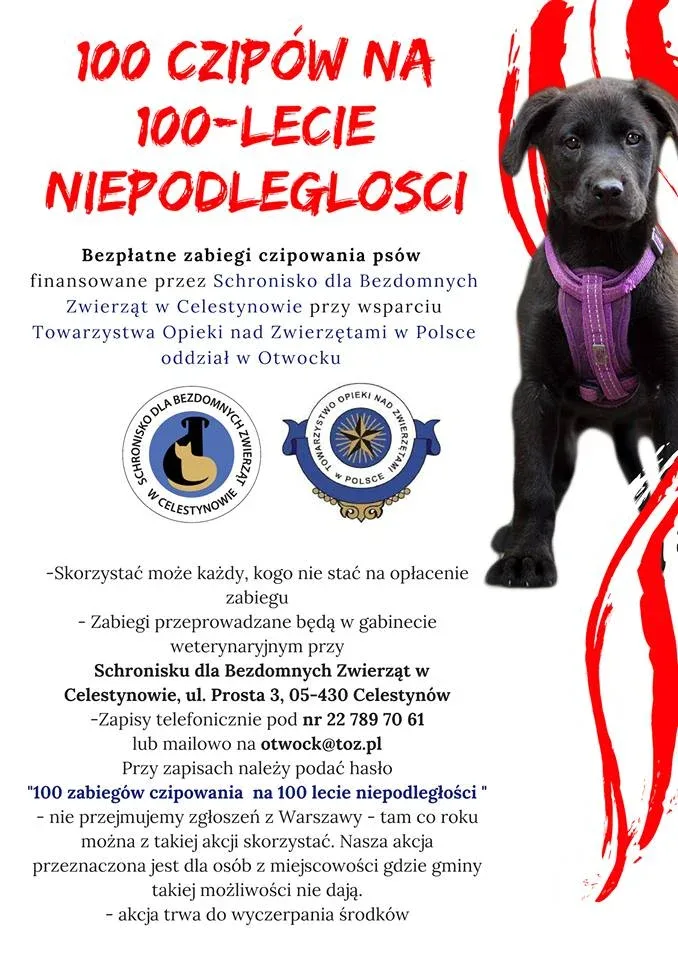 Akcja bezpłatnego czipowania w Otwocku