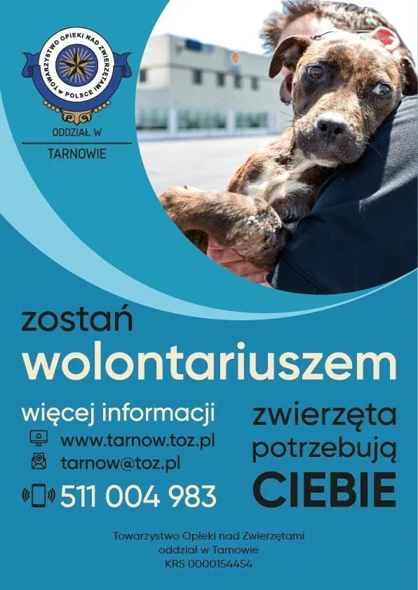 Zostań wolontariuszem TOZ