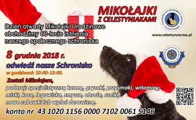 Mikołajki z Celestyniakami w schronisku w Celestynowie