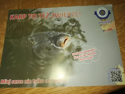 Apel o humanitarne traktowanie karpi w okresie świąt