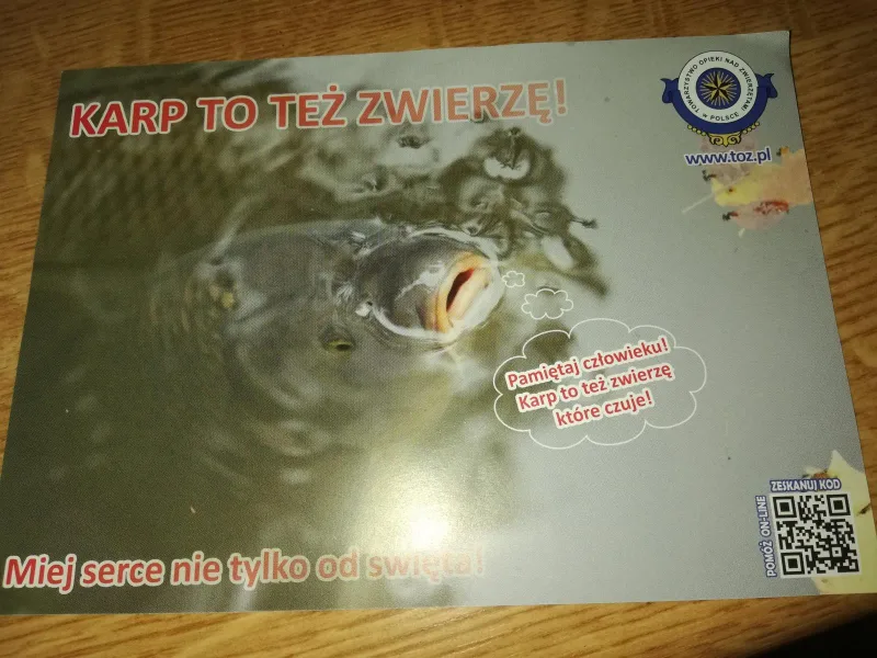Apel o humanitarne traktowanie karpi w okresie świąt