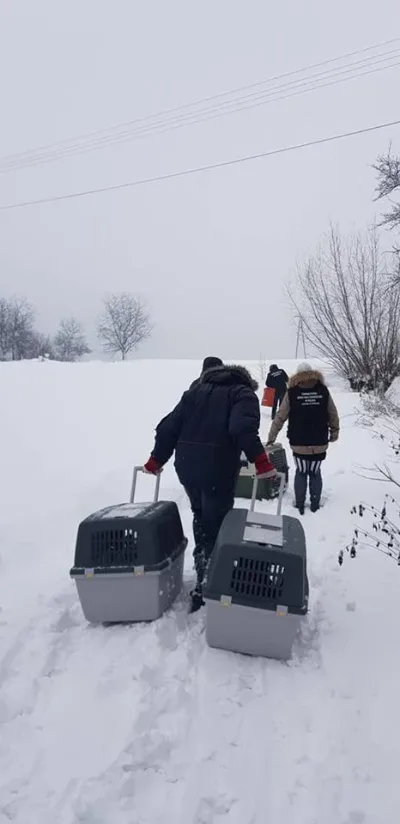 Interwencja zimowa: uratowaliśmy 9 psów i kota