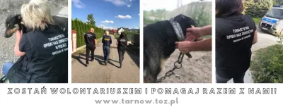 Podsumowanie działań TOZ w Tarnowie i Krynicy w 2018 roku