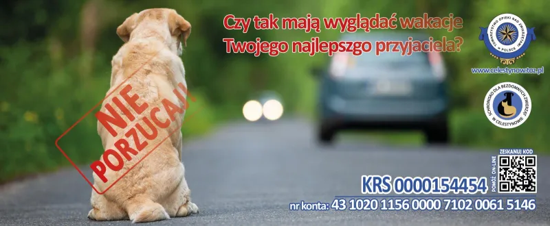 Apel o nieporzucanie zwierząt w wakacje