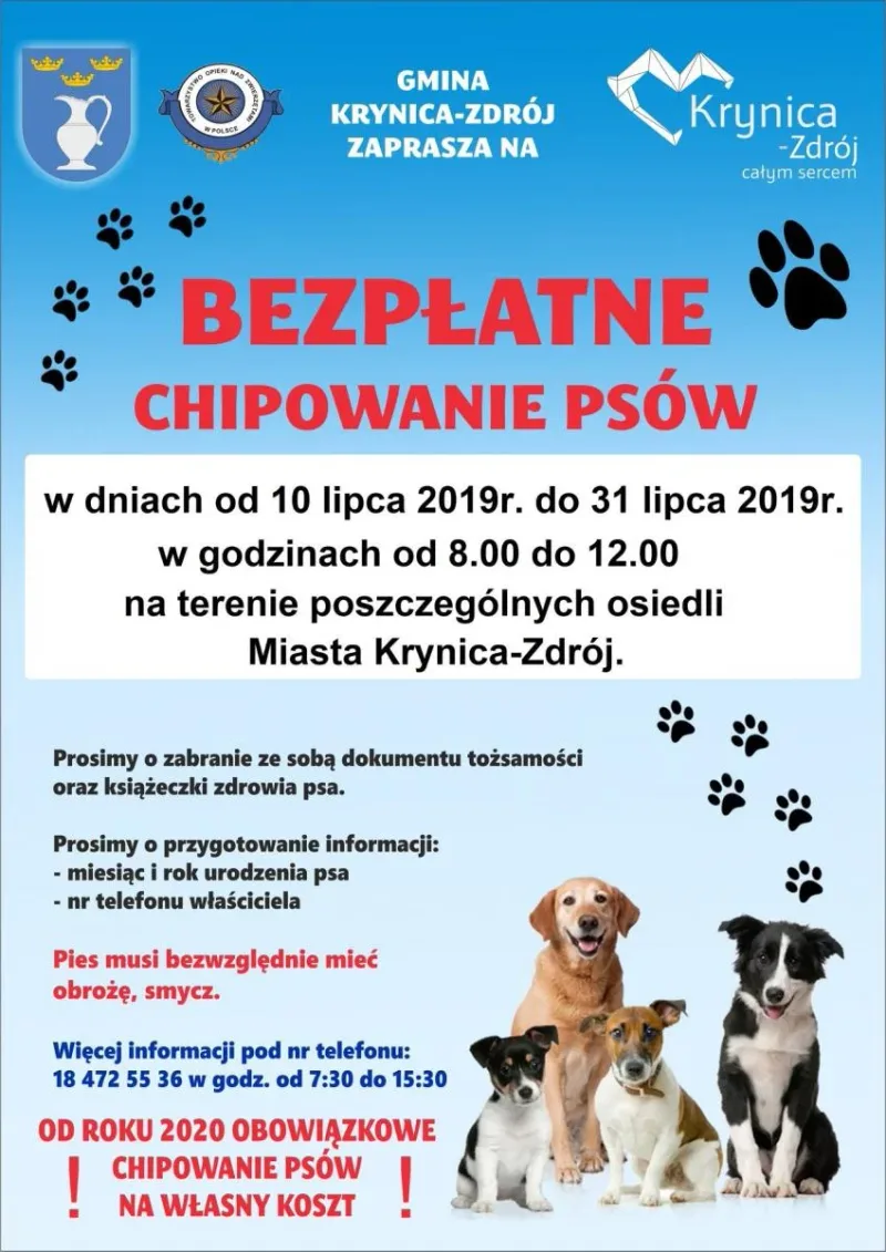 Dofinansowanie na chipowanie psów w Krynicy-Zdroju