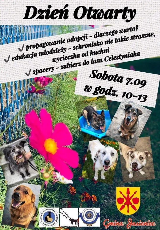 Dzień Otwarty w schronisku w Celestynowie
