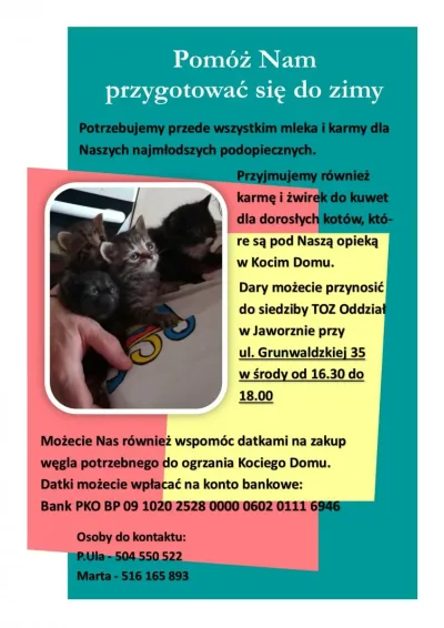 Przygotowania do zimy w Kocim Domu w Jaworznie