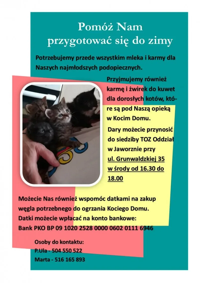Przygotowania do zimy w Kocim Domu w Jaworznie