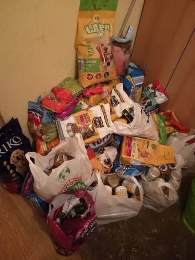 Podziękowania dla szkół z Włocławka za zbiórkę karmy