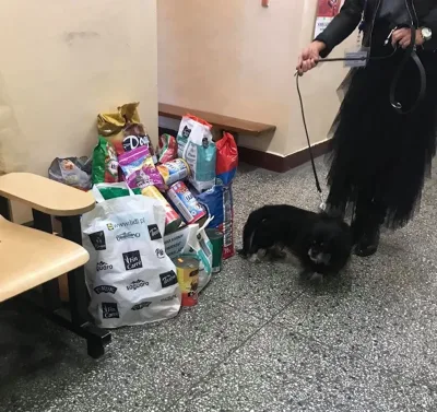 Podziękowania dla Szkoły Podstawowej w Dąbrówkach Breńskich