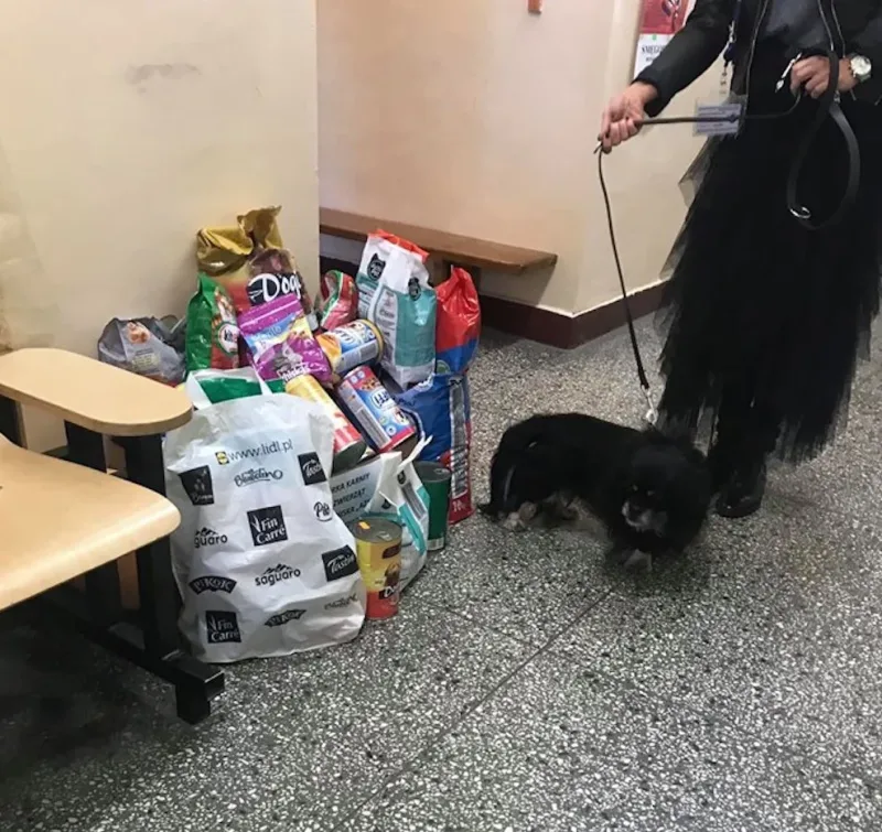 Podziękowania dla Szkoły Podstawowej w Dąbrówkach Breńskich