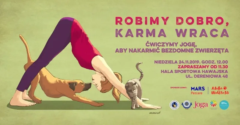 Joga dla bezdomnych zwierząt w Warszawie