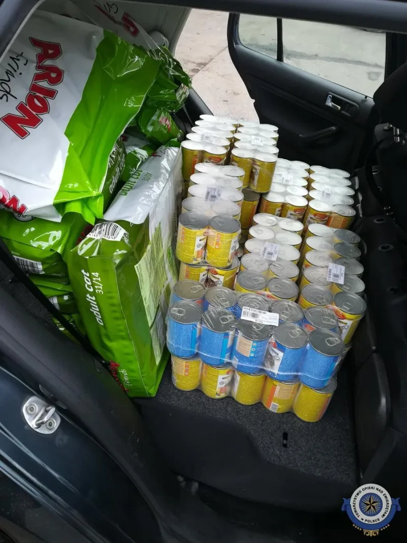 Wsparcie dla karmicieli kotów w Jaworznie