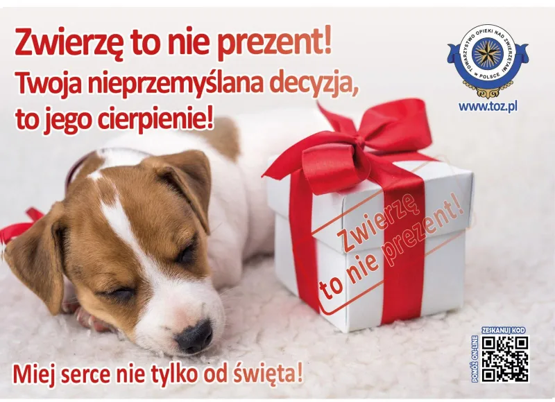 Zwierzę to nie prezent