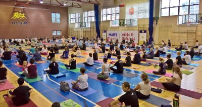 Joga dla zwierząt w Celestynowie