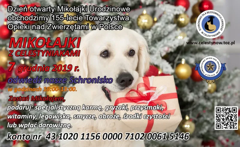 Mikołajki z Celestyniakami w schronisku w Celestynowie