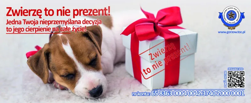 Zwierzę to nie prezent