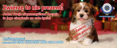 Zwierzę to nie prezent