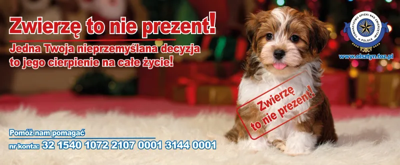 Zwierzę to nie prezent