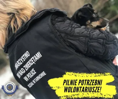 Apel o pomoc wolontariuszy w Tarnowie