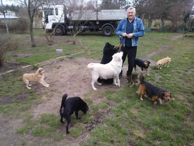Zbiórka żywności dla bezdomnych zwierząt w Łagowie