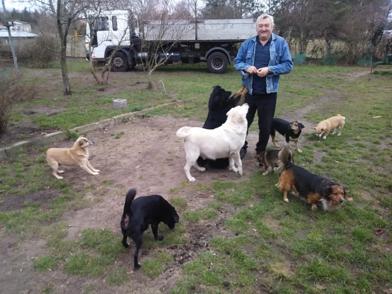 Zbiórka żywności dla bezdomnych zwierząt w Łagowie