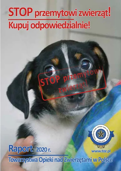Raport o nielegalnym przemycie i handlu zwierzętami