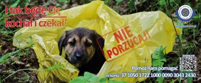 Kampania 'Nie porzucaj!' - apel o adopcję zwierząt