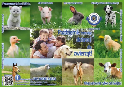 Październik miesiącem dobroci dla zwierząt