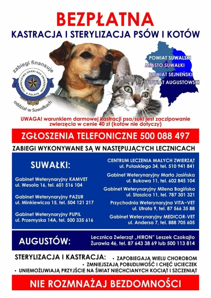 Akcja kastracji w suwalskim regionie we wrześniu 2020